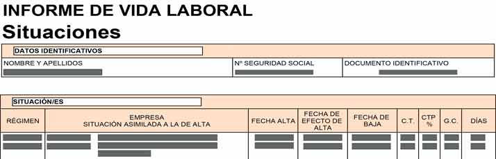 vida laboral 