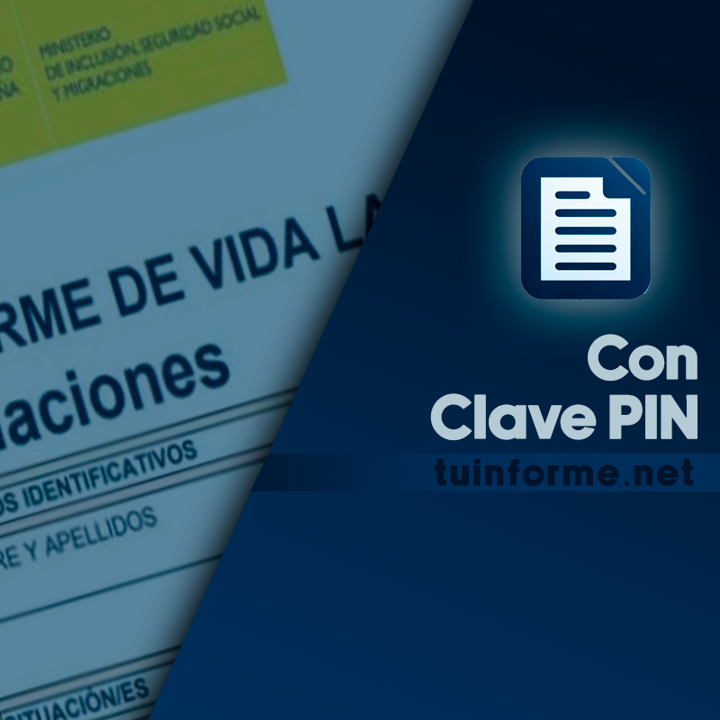 informe vida laboral clave pin