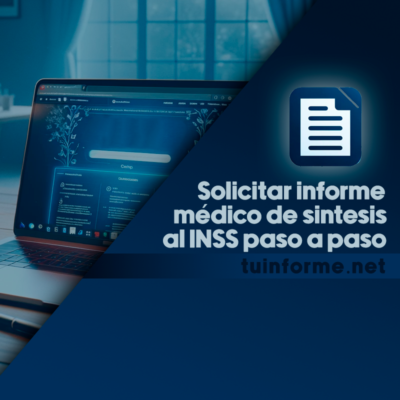 informe de sintesis inss online